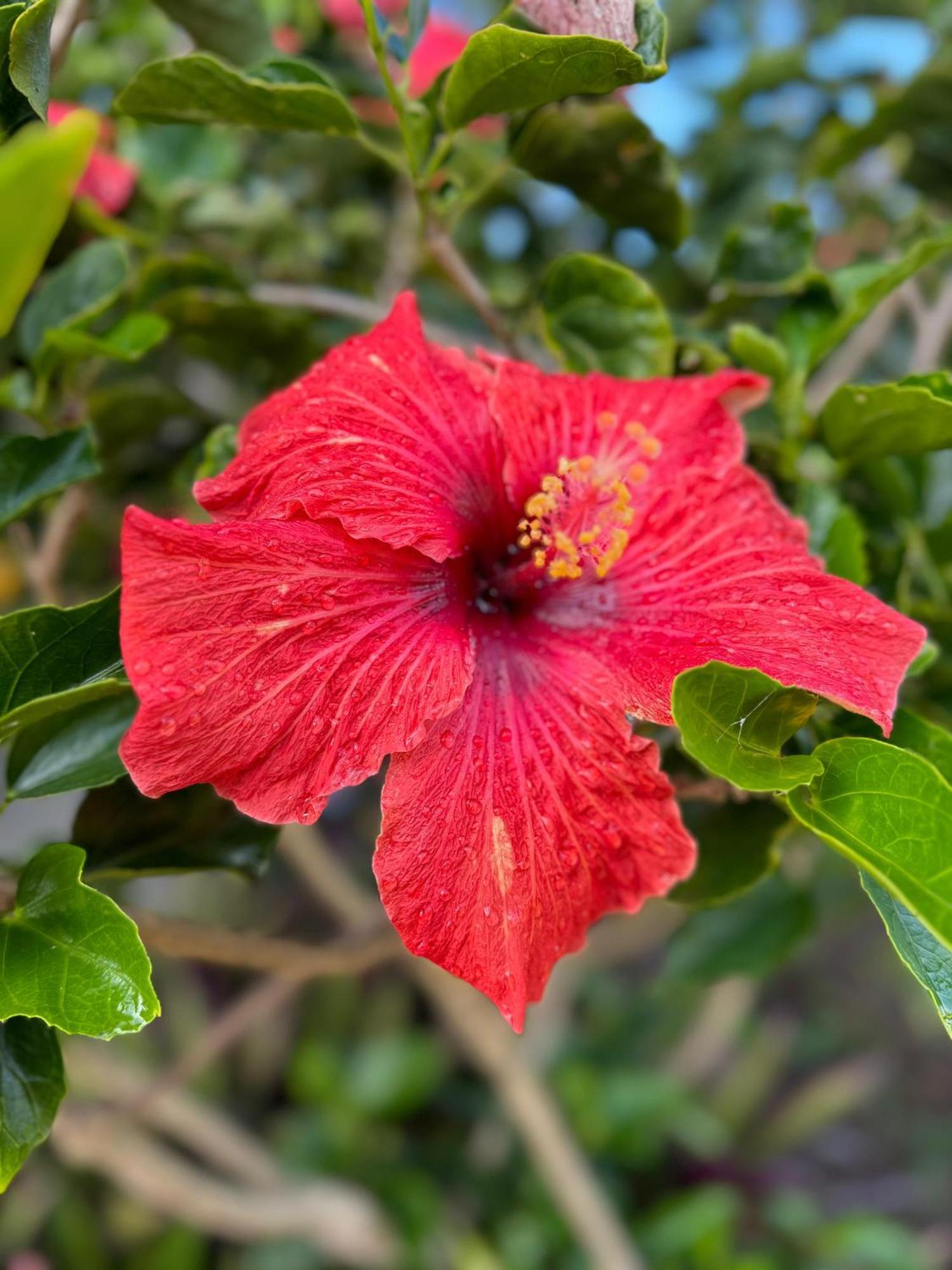 Cabanas Anavai Rapa Nui Hanga Roa Luaran gambar